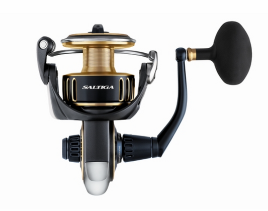 2025 Daiwa Saltiga