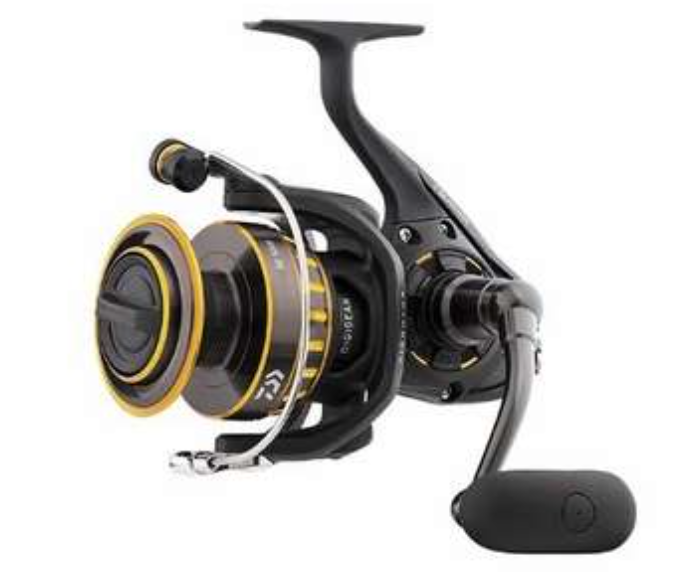 Daiwa | BG Spinning Reel